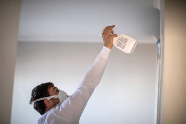 Best Mold Testing  in Wakefield, VA