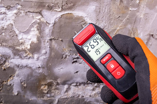 Best Toxic Mold Removal  in Wakefield, VA