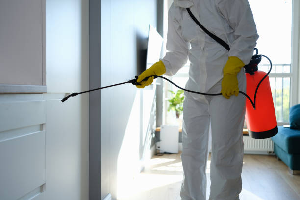 Best Office Mold Removal Services  in Wakefield, VA