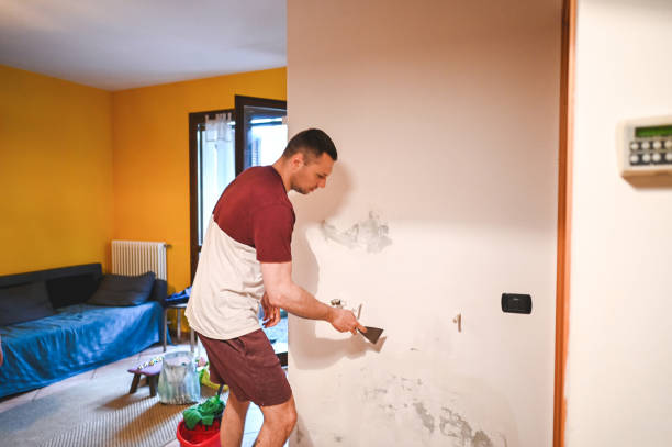 Best Mold Removal and Inspection  in Wakefield, VA
