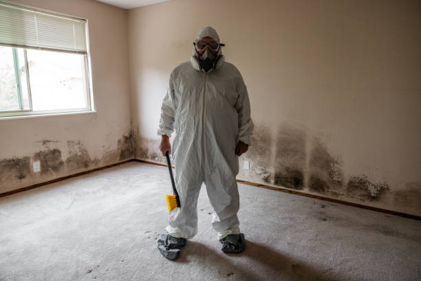 Best Certified Mold Removal  in Wakefield, VA