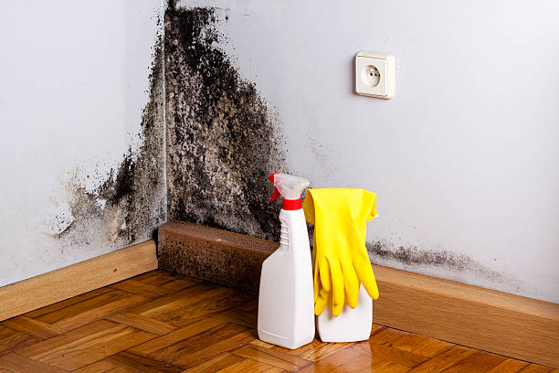 Water Damage Restoration in Wakefield, VA