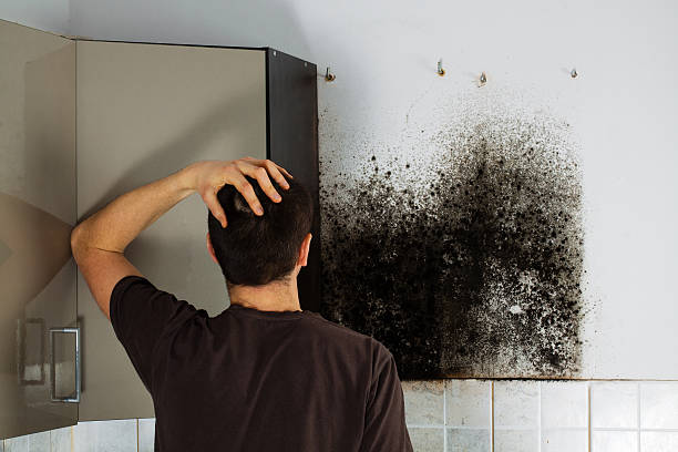 Best Fast Mold Removal  in Wakefield, VA