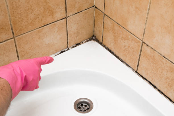 Best Water Damage Restoration  in Wakefield, VA
